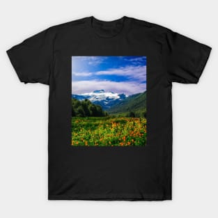 Flowers Bed on Mountains-Spring T-Shirt